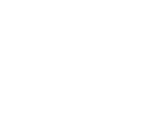 VolaSI